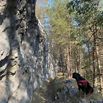 Appartement Sweet Mountain