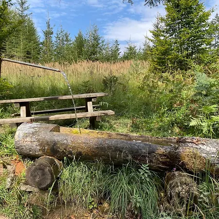 公寓 Sweet Mountain 巴特布莱贝格