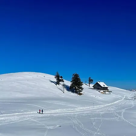 Sweet Mountain *
