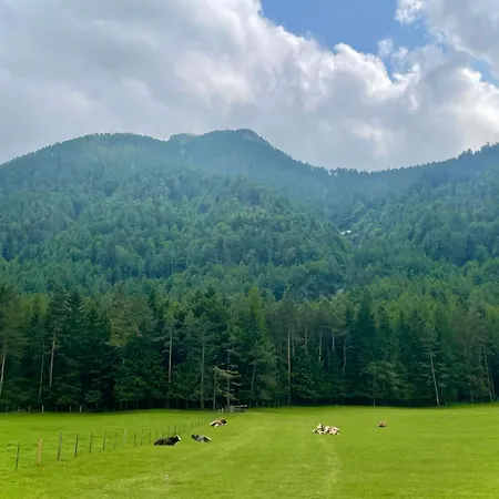 Sweet Mountain 公寓 *