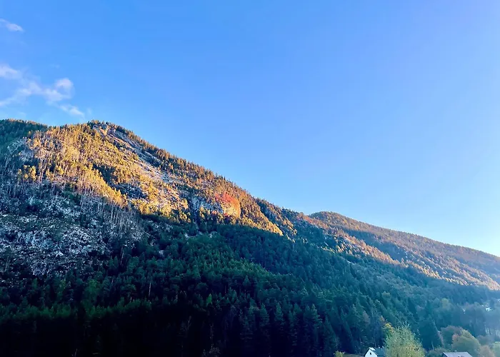 Appartement Sweet Mountain *