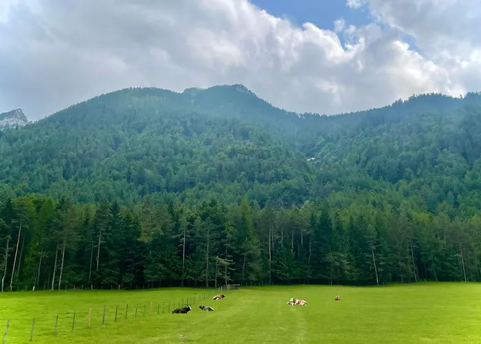 Sweet Mountain Appartement *