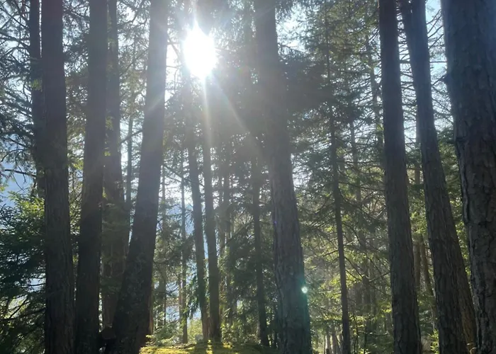 Sweet Mountain Apartment Bad Bleiberg