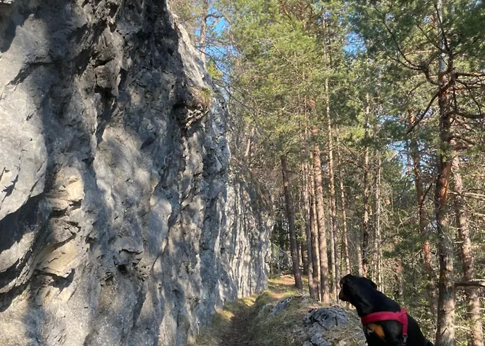 Apartment Sweet Mountain